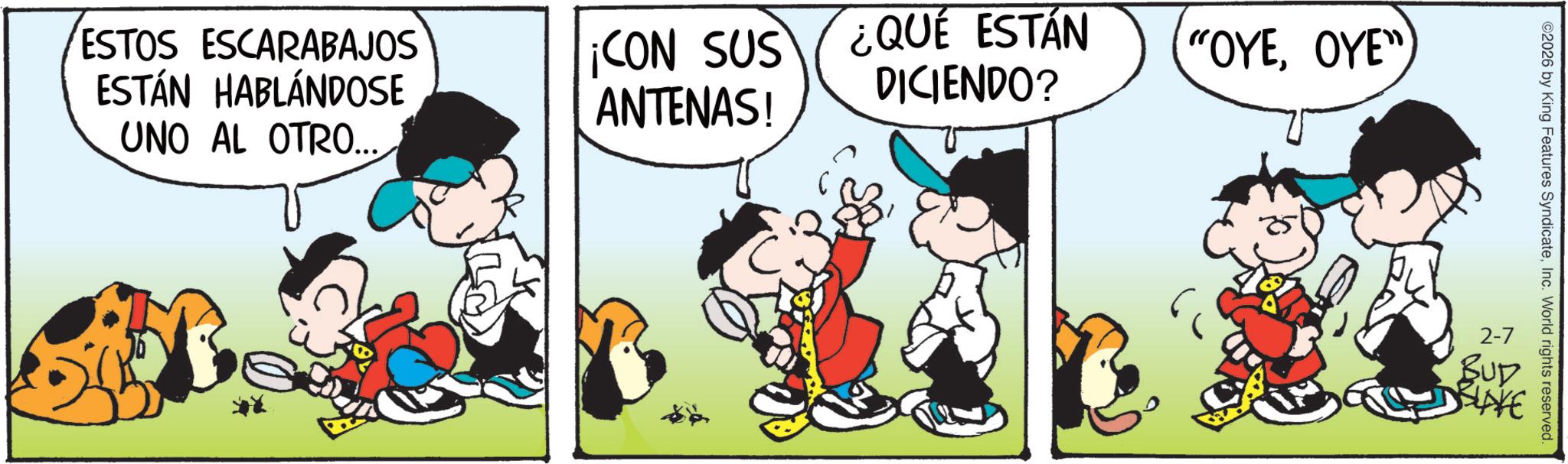 Comic book OCR: ESTOS ESCARABAJOS ESTÁN HABLÁNDOSE UNO AL OTRO... ¡CON SUS ANTENAS! ¿QUE ESTÁN DICIENDO? "OYEOYE" ©2026 by King Features SyndicateInc. World rights reserved. 2-7 BUD DSLAVE ESTOS ESCARABAJOS ESTÁN HABLÁNDOSE UNO AL OTRO ... ¡ CON SUS ANTENAS ! ¿ QUE ESTÁN DICIENDO ? " OYEOYE " © 2026 by King Features SyndicateInc. World rights reserved . 2-7 BUD DSLAVE