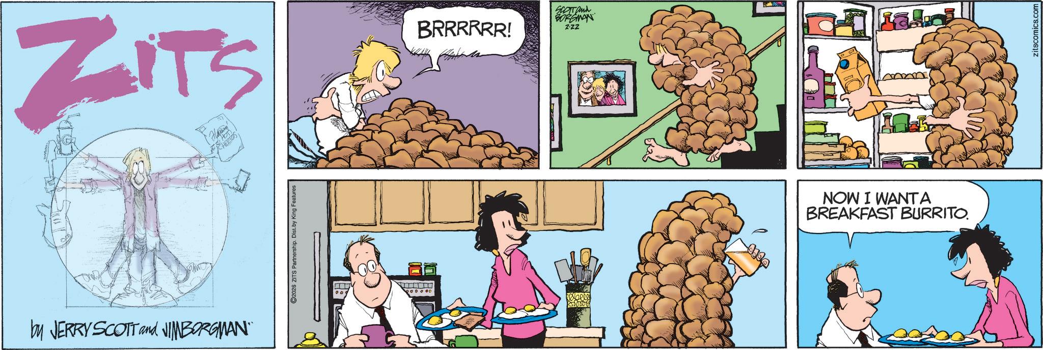 Zits - 2026-02-22
