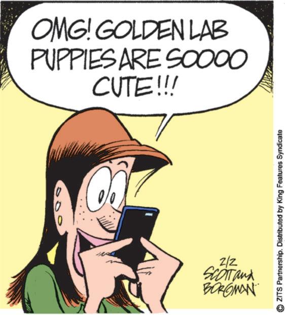 Comic book OCR: OMG! GOLDEN LAB PUPPIES ARE SOOOO CUTE!!! 000 2/2 SCOTT and BORGMAN ZITS Partnership. Distributed by King Features Syndicate OMG ! GOLDEN LAB PUPPIES ARE SOOOO CUTE !!! 000 2/2 SCOTT and BORGMAN ZITS Partnership . Distributed by King Features Syndicate
