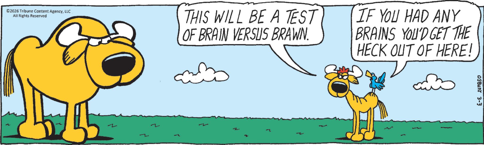 Graphics OCR: ©2026 Tribune Content AgencyLLC All Rights Reserved THIS WILL BE A TEST OF BRAIN VERSUS BRAWN. IF YOU HAD ANY BRAINS YOU'D GET THE HECK OUT OF HERE! OSBUN 3-3 © 2026 Tribune Content AgencyLLC All Rights Reserved THIS WILL BE A TEST OF BRAIN VERSUS BRAWN . IF YOU HAD ANY BRAINS YOU'D GET THE HECK OUT OF HERE ! OSBUN 3-3