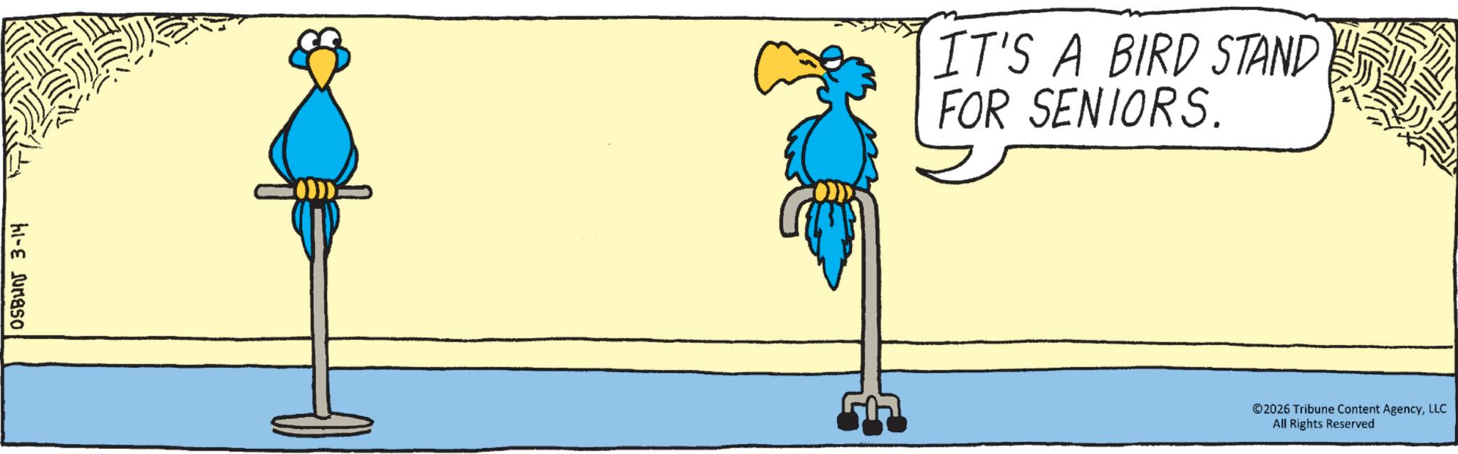 Clip art OCR: OSBUN 3-14 IT'S A BIRD STAND FOR SENIORS. ©2026 Tribune Content AgencyLLC All Rights Reserved OSBUN 3-14 IT'S A BIRD STAND FOR SENIORS . © 2026 Tribune Content AgencyLLC All Rights Reserved