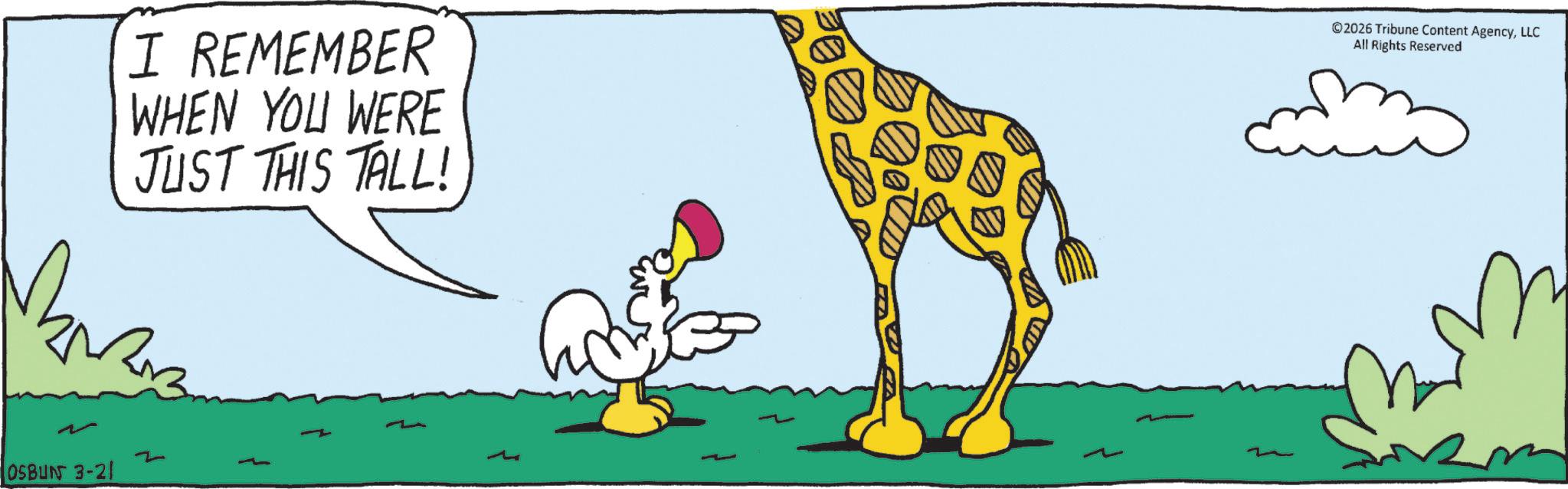 Fiction OCR: OSBUN 3-21 I REMEMBER WHEN YOU WERE JUST THIS TALL! ©2026 Tribune Content AgencyLLC All Rights Reserved OSBUN 3-21 I REMEMBER WHEN YOU WERE JUST THIS TALL ! © 2026 Tribune Content AgencyLLC All Rights Reserved