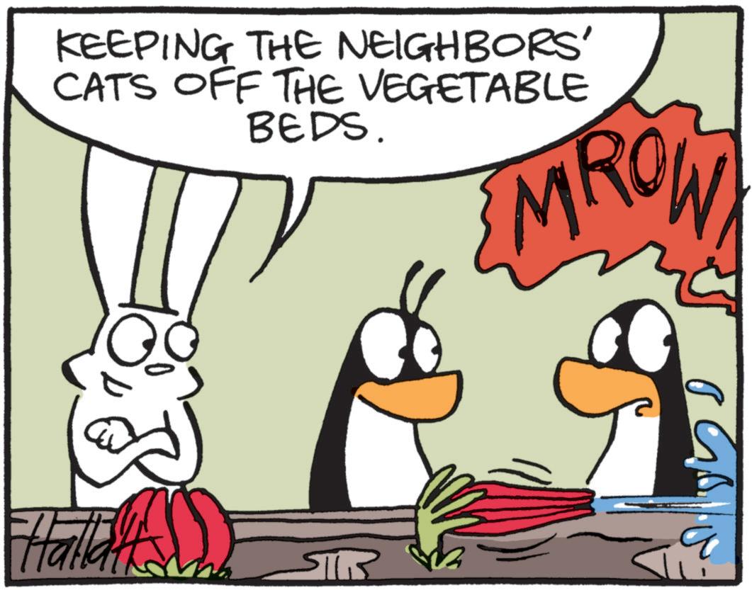 Fictional character OCR: KEEPING THE NEIGHBORS' CATS OFF THE VEGETABLE BEDS. EMROW Hallatt STR KEEPING THE NEIGHBORS ' CATS OFF THE VEGETABLE BEDS . EMROW Hallatt STR