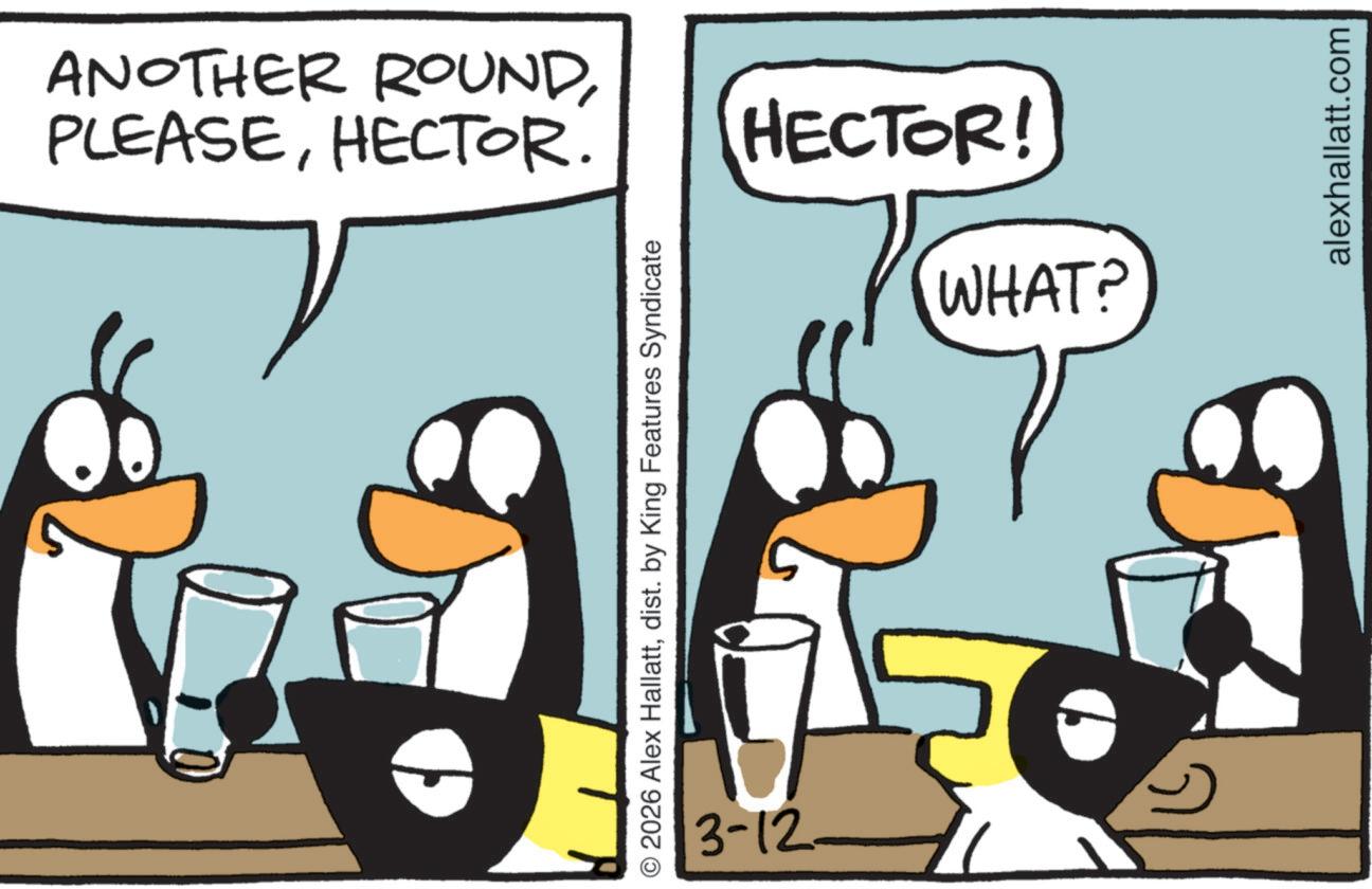 Flightless bird OCR: PLEASEHECTOR. ANOTHER ROUNDdist. by King Features Syndicate 3-12- HECTOR! WHAT? alexhallatt.com PLEASEHECTOR . ANOTHER ROUND© 2026 Alex Hallattdist . by King Features Syndicate 3-12- HECTOR ! WHAT ? alexhallatt.com