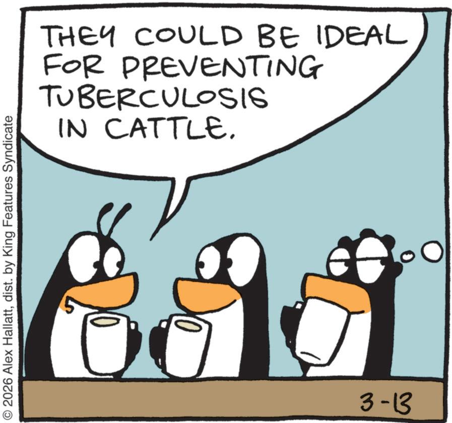 Penguin OCR: O2026 Alex Hallattdist. by King Features Syndicate THEY COULD BE IDEAL FOR PREVENTING TUBERCULOSIS IN CATTLE. 3-13 O2026 Alex Hallattdist . by King Features Syndicate THEY COULD BE IDEAL FOR PREVENTING TUBERCULOSIS IN CATTLE . 3-13