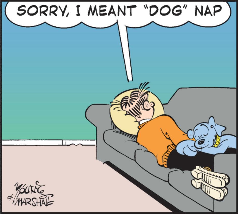 Canidae OCR: SORRYI MEANT "DOG" NAP + YOUR & MARSHAL SORRYI MEANT " DOG " NAP + YOUR & MARSHAL