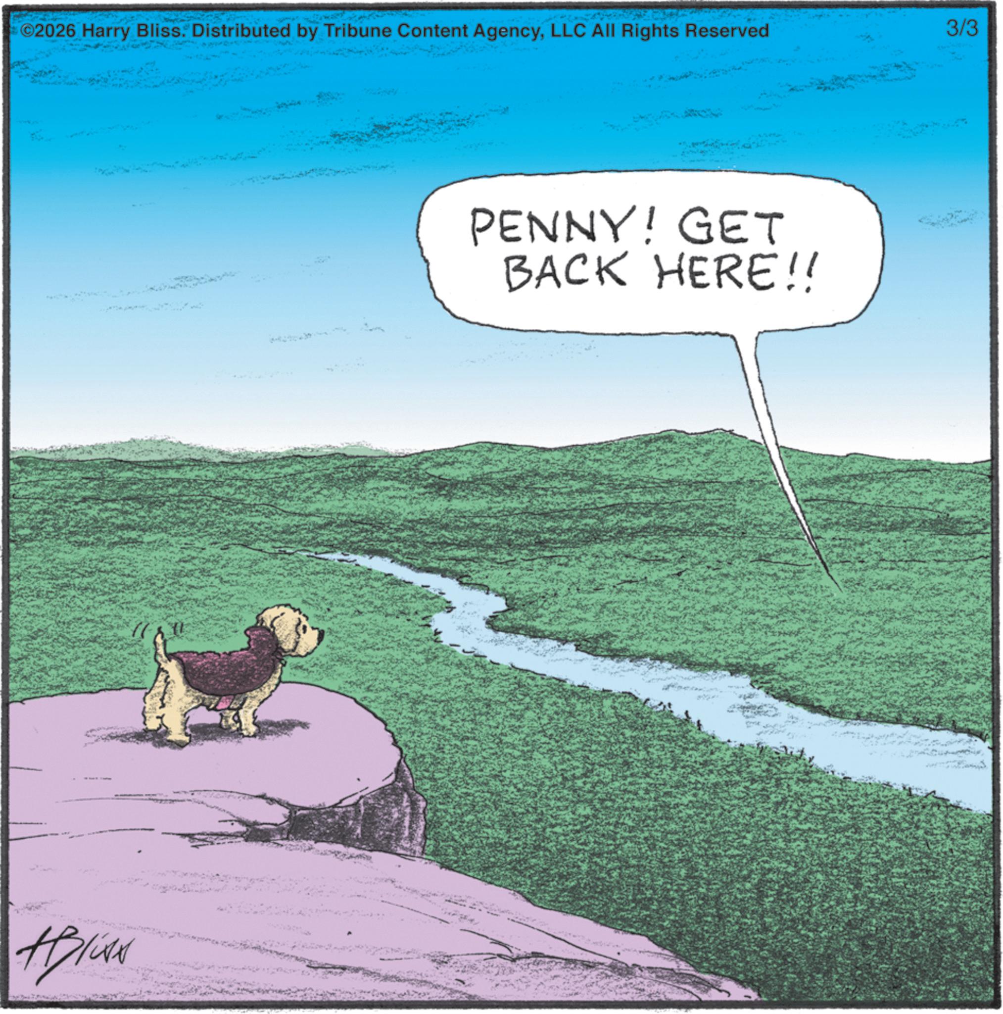Photo caption OCR: ©2026 Harry Bliss. Distributed by Tribune Content AgencyLLC All Rights Reserved 3/3 ABliss PENNY! GET BACK HERE!! © 2026 Harry Bliss . Distributed by Tribune Content AgencyLLC All Rights Reserved 3/3 ABliss PENNY ! GET BACK HERE !!