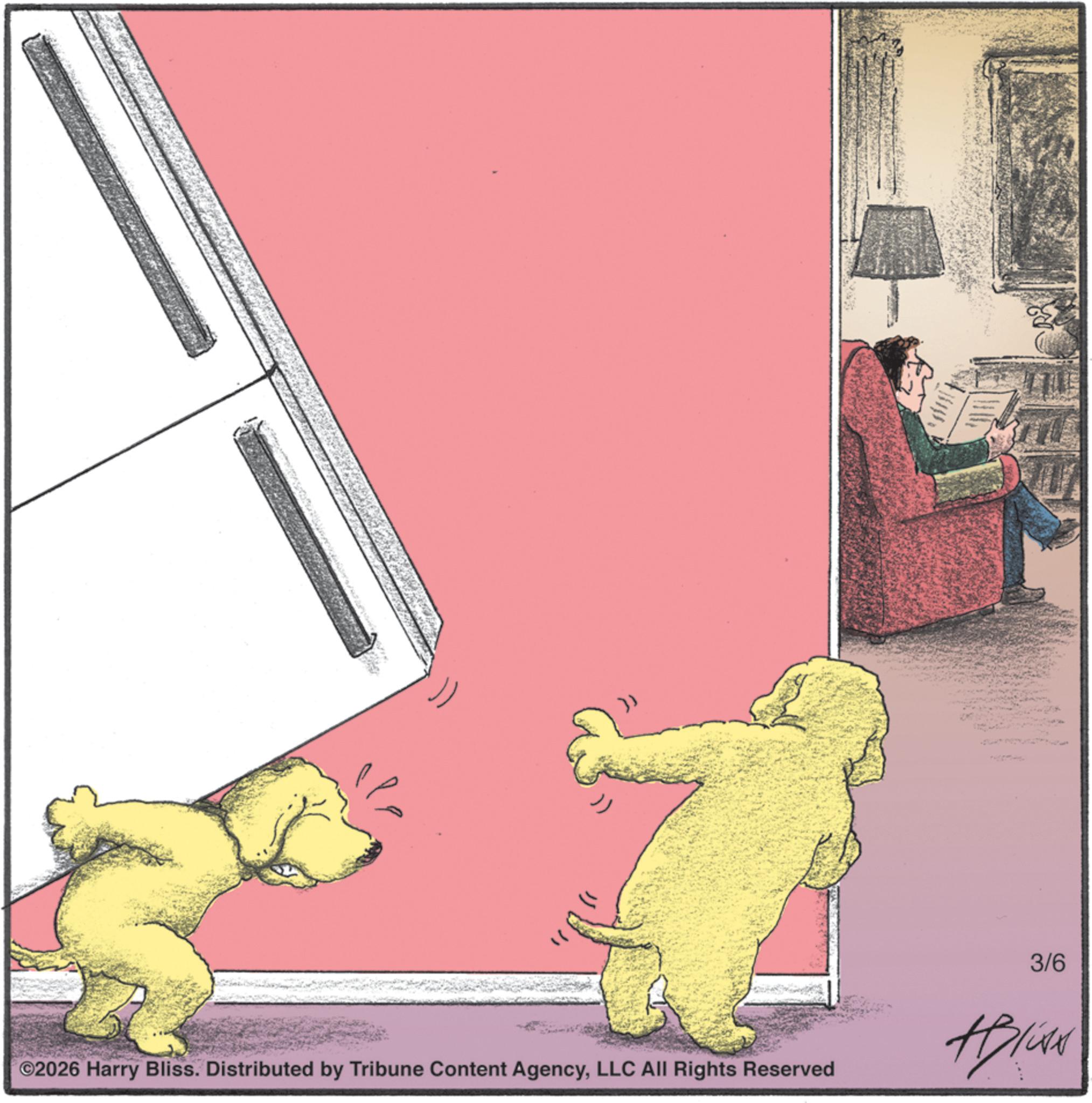 Brown bear OCR: }) ©2026 Harry Bliss. Distributed by Tribune Content AgencyLLC All Rights Reserved 3/6 } ) © 2026 Harry Bliss . Distributed by Tribune Content AgencyLLC All Rights Reserved 3/6