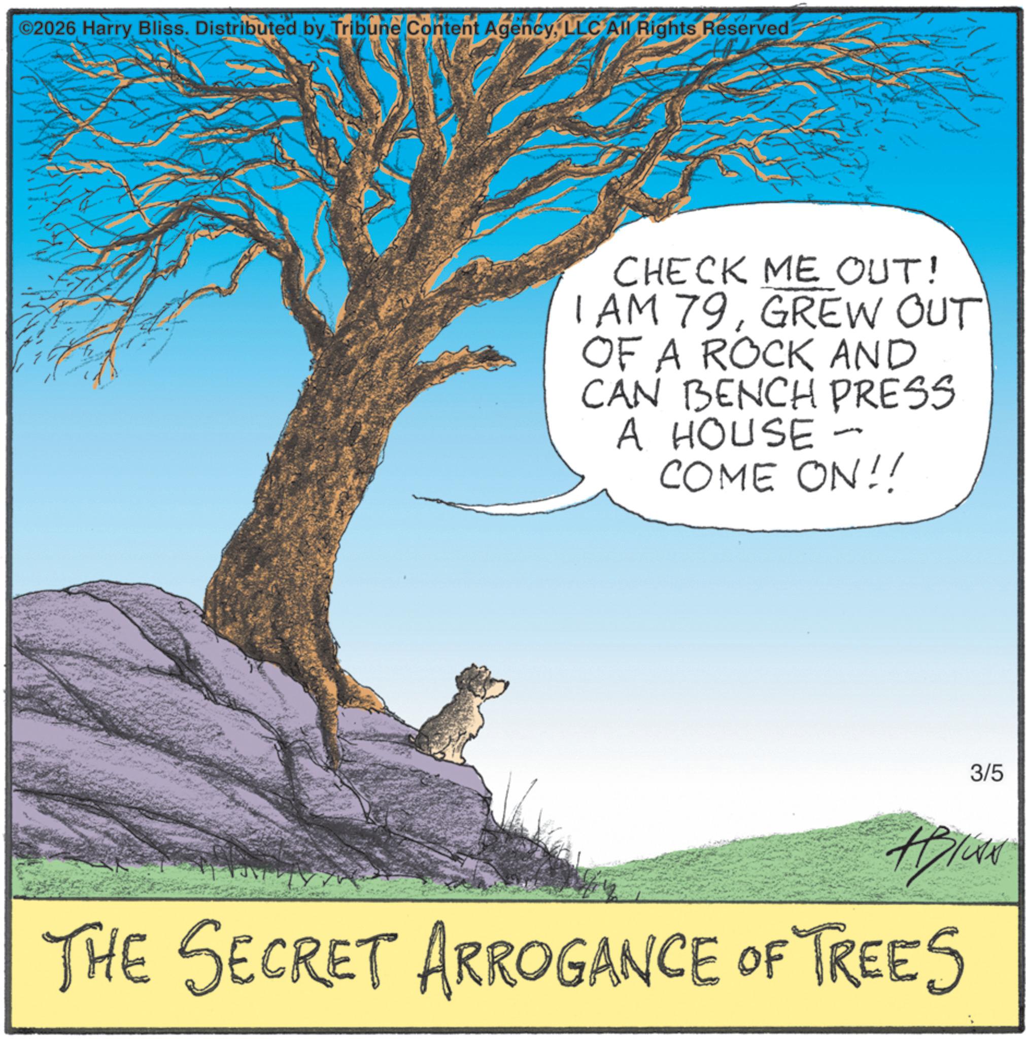 Animation OCR: ©2026 Harry Bliss. Distributed by Tribune Content AgencyLLC All Rights Reserved CHECK ME OUT! I AM 79GREW OUT OF A ROCK AND CAN BENCH PRESS A HOUSE - COME ON!! 3/5 ABIGAN THE SECRET ARROGANCE OF TREES © 2026 Harry Bliss . Distributed by Tribune Content AgencyLLC All Rights Reserved CHECK ME OUT ! I AM 79GREW OUT OF A ROCK AND CAN BENCH PRESS A HOUSE - COME ON !! 3/5 ABIGAN THE SECRET ARROGANCE OF TREES