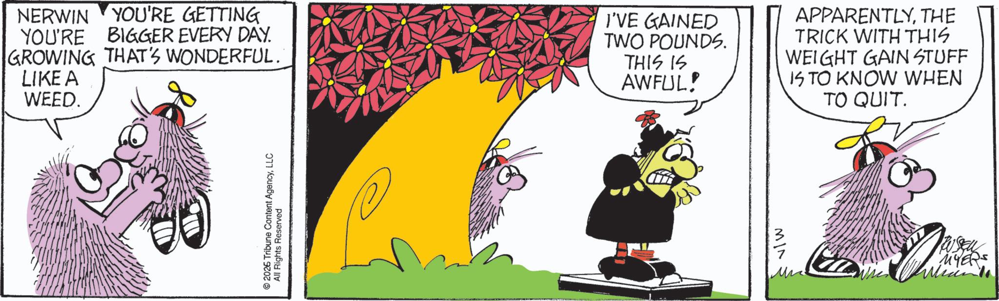 Comics OCR: NERWIN YOU'RE GETTING BIGGER EVERY DAY. GROWING THAT'S WONDERFUL. YOU'RE LIKE A WEED. I'VE GAINED TWO POUNDS. THIS IS AWFUL! APPARENTLYTHE TRICK WITH THIS WEIGHT GAIN STUFF IS TO KNOW WHEN TO QUIT. © 2026 Tribune Content AgencyLLC All Rights Reserved MYERS NERWIN YOU'RE GETTING BIGGER EVERY DAY . GROWING THAT'S WONDERFUL . YOU'RE LIKE A WEED . I'VE GAINED TWO POUNDS . THIS IS AWFUL ! APPARENTLYTHE TRICK WITH THIS WEIGHT GAIN STUFF IS TO KNOW WHEN TO QUIT . © 2026 Tribune Content AgencyLLC All Rights Reserved MYERS