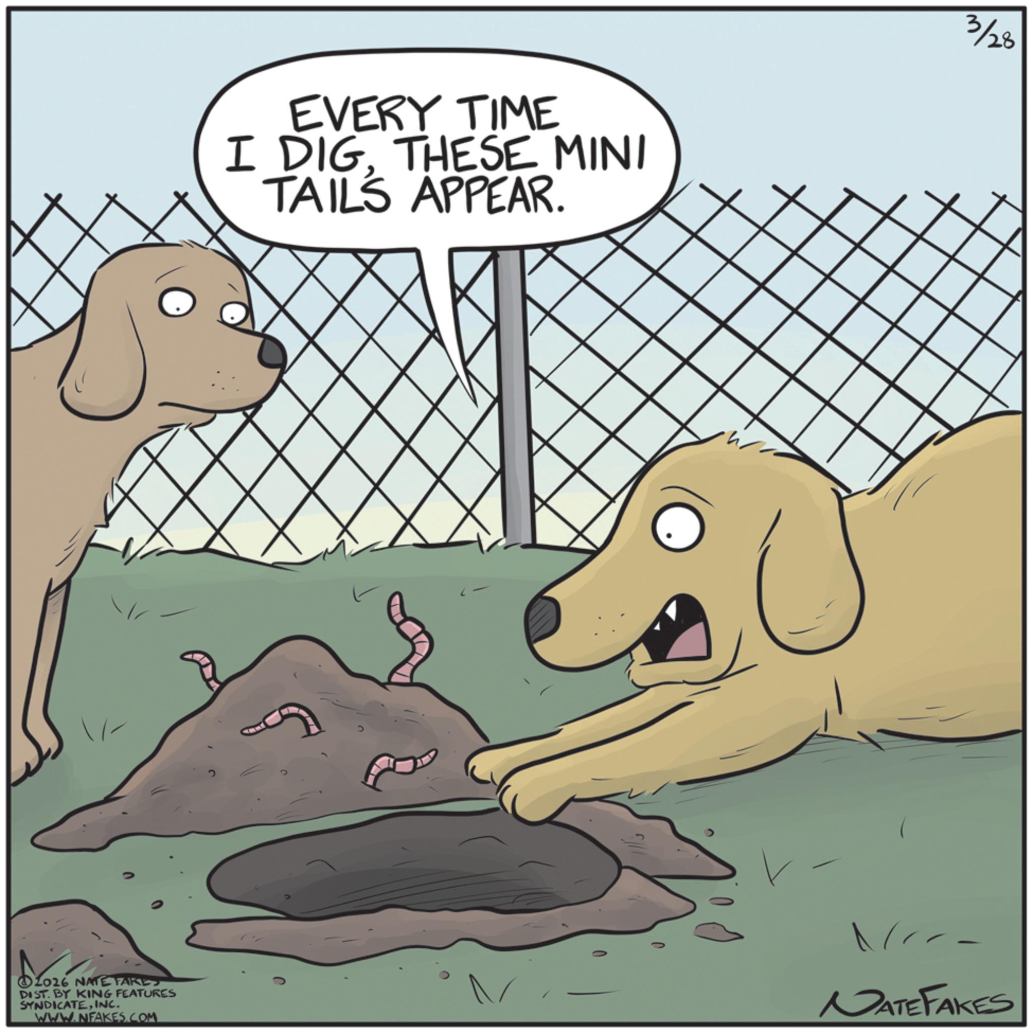 Fiction OCR: EVERY TIME I DIGTHESE MINI TAILS APPEAR. 3/28 - 2016 NATE FAIRES DIST. BY KING FEATURES SYNDICATEINC. WWW.NFAKES.COM NATE FAKES EVERY TIME I DIGTHESE MINI TAILS APPEAR . 3/28 - 2016 NATE FAIRES DIST . BY KING FEATURES SYNDICATEINC . WWW.NFAKES.COM NATE FAKES