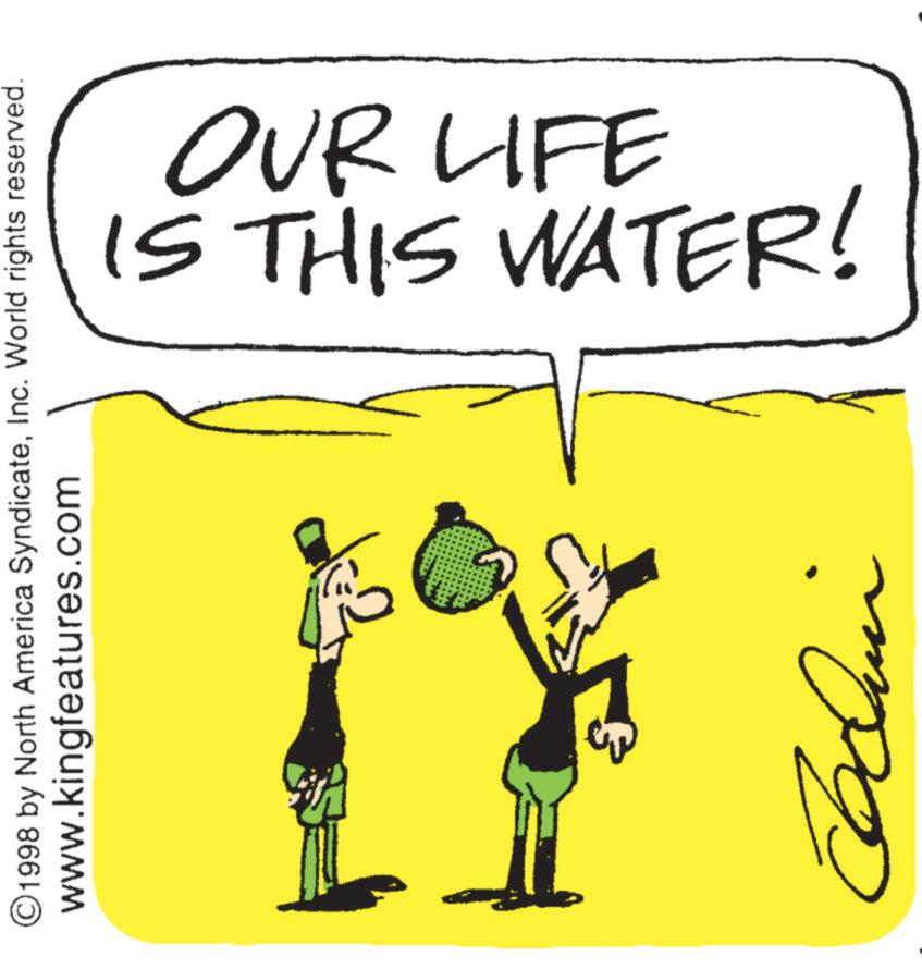 Graphics OCR: ©1998 by North America SyndicateInc. World rights reserved. www.kingfeatures.com $ dini IS THIS WATER! OUR LIFE © 1998 by North America SyndicateInc. World rights reserved . www.kingfeatures.com $ dini IS THIS WATER ! OUR LIFE