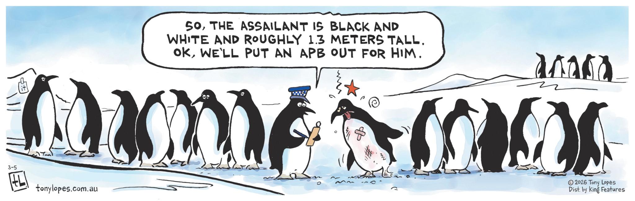 Ice cap OCR: 3-5 tonylopes.com.au SOTHE ASSAILANT IS BLACK AND WHITE AND ROUGHLY 1.3 METERS TALL. OKWE'LL PUT AN APB OUT FOR HIM. anada 2026 Tony Lopes Dist. by King Features 3-5 tonylopes.com.au SOTHE ASSAILANT IS BLACK AND WHITE AND ROUGHLY 1.3 METERS TALL . OKWE'LL PUT AN APB OUT FOR HIM . anada 2026 Tony Lopes Dist . by King Features