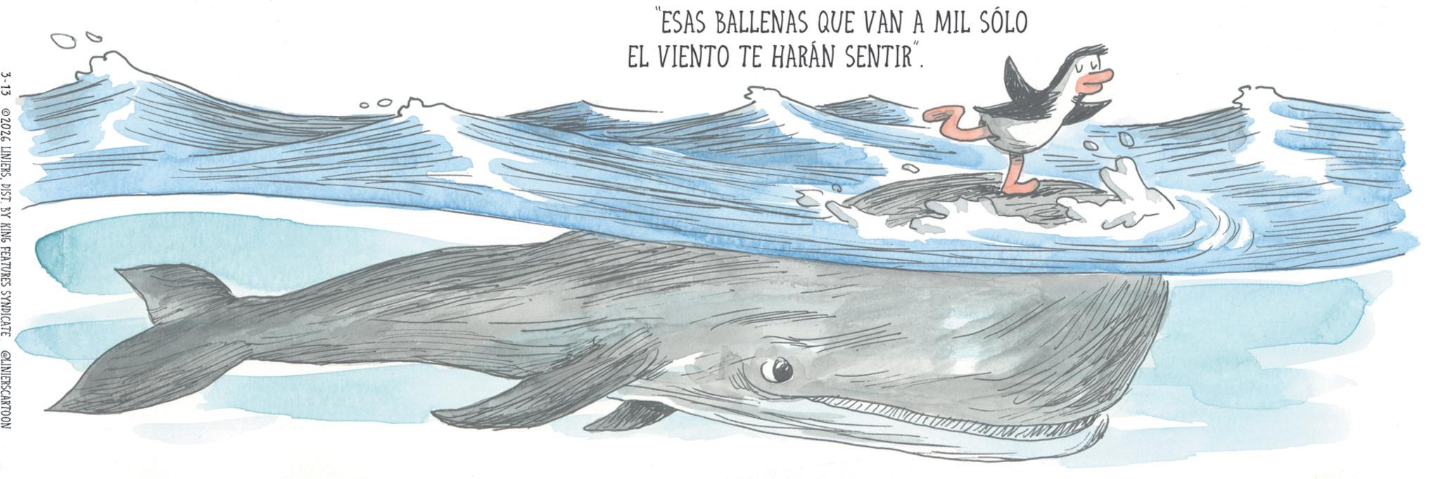 Animation OCR: 3-13 02026 LINIERSBY KING FEATURES SYNDICATE @LINIERSCARTOON "ESAS BALLENAS QUE VAN A MIL SÓLO EL VIENTO TE HARÁN SENTIR". 3-13 02026 LINIERSBY KING FEATURES SYNDICATE @LINIERSCARTOON " ESAS BALLENAS QUE VAN A MIL SÓLO EL VIENTO TE HARÁN SENTIR " .