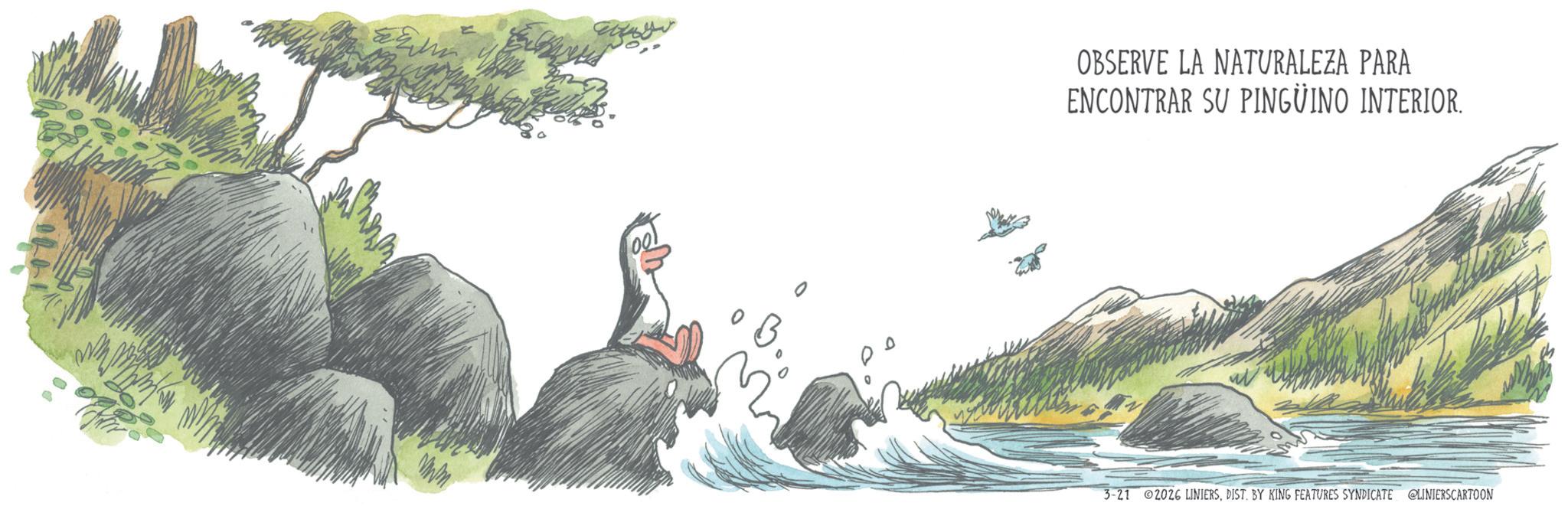 Animation OCR: OBSERVE LA NATURALEZA PARA ENCONTRAR SU PINGÜINO INTERIOR. 3-21 2026 LINIERSDIST. BY KING FEATURES SYNDICATE @LINIERSCARTOON OBSERVE LA NATURALEZA PARA ENCONTRAR SU PINGÜINO INTERIOR . 3-21 2026 LINIERSDIST . BY KING FEATURES SYNDICATE @LINIERSCARTOON