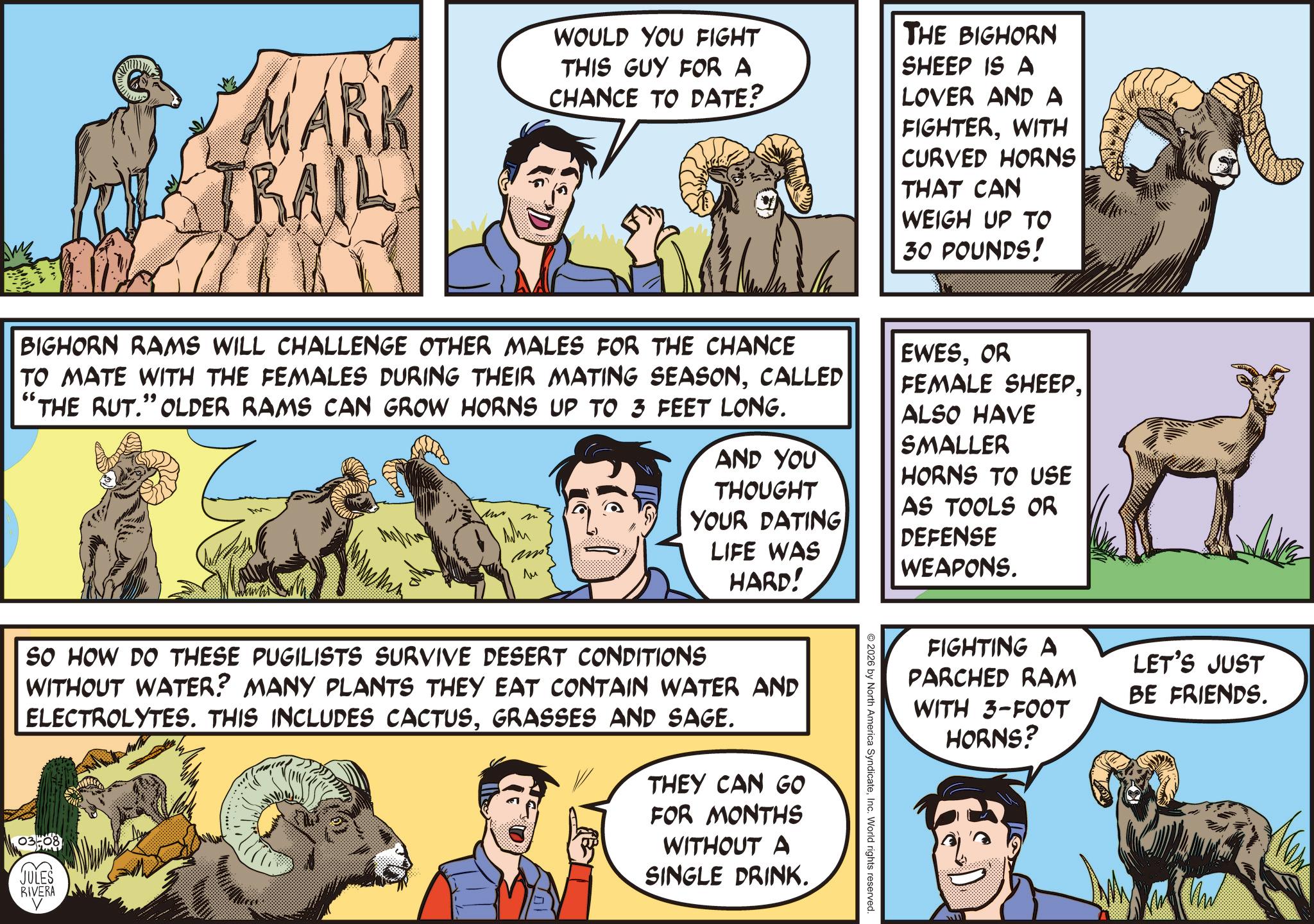 Mark Trail - 2026-03-08