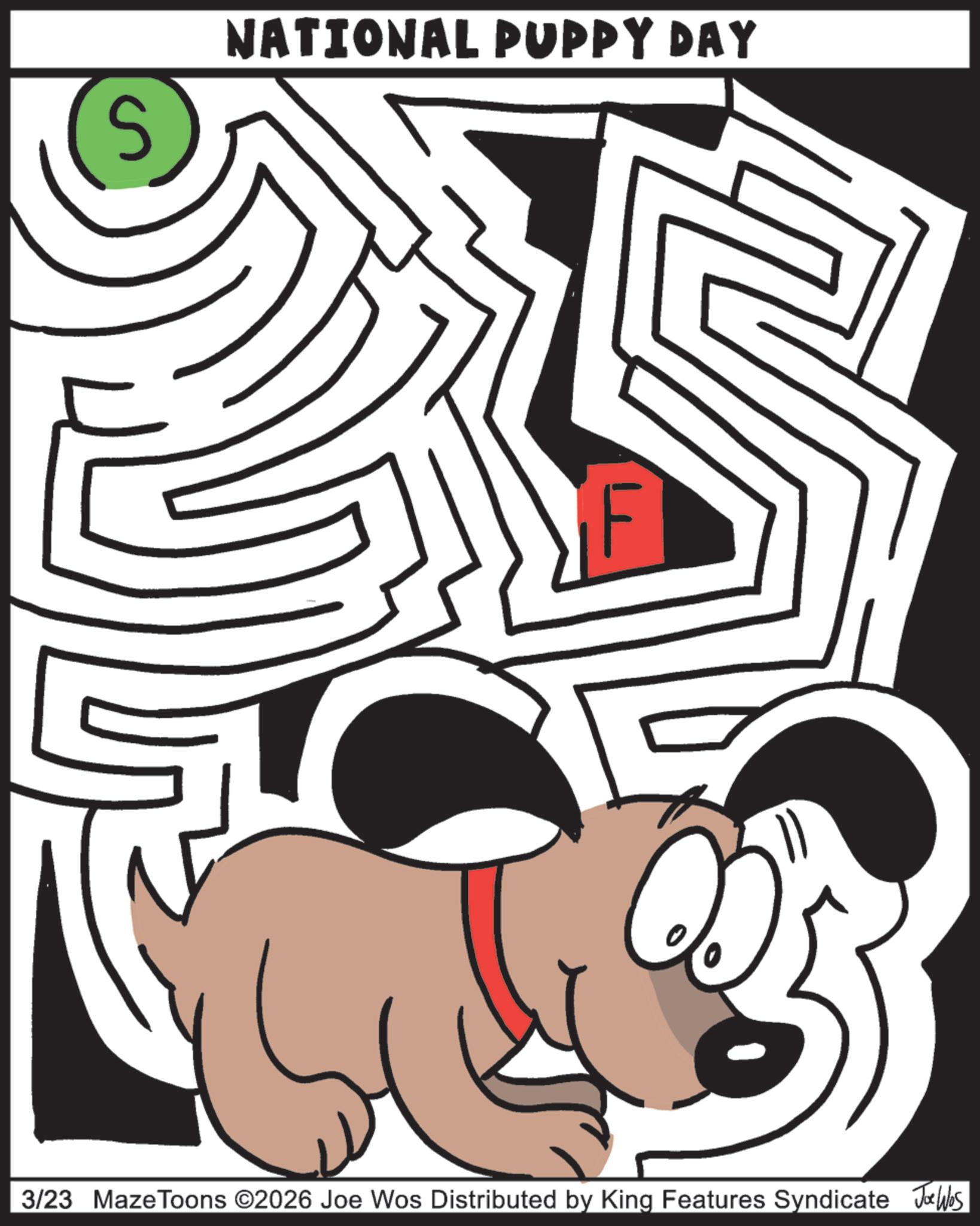 Graphic design OCR: S NATIONAL PUPPY DAY 3/23 MazeToons ©2026 Joe Wos Distributed by King Features Syndicate Jobs S NATIONAL PUPPY DAY 3/23 MazeToons © 2026 Joe Wos Distributed by King Features Syndicate Jobs
