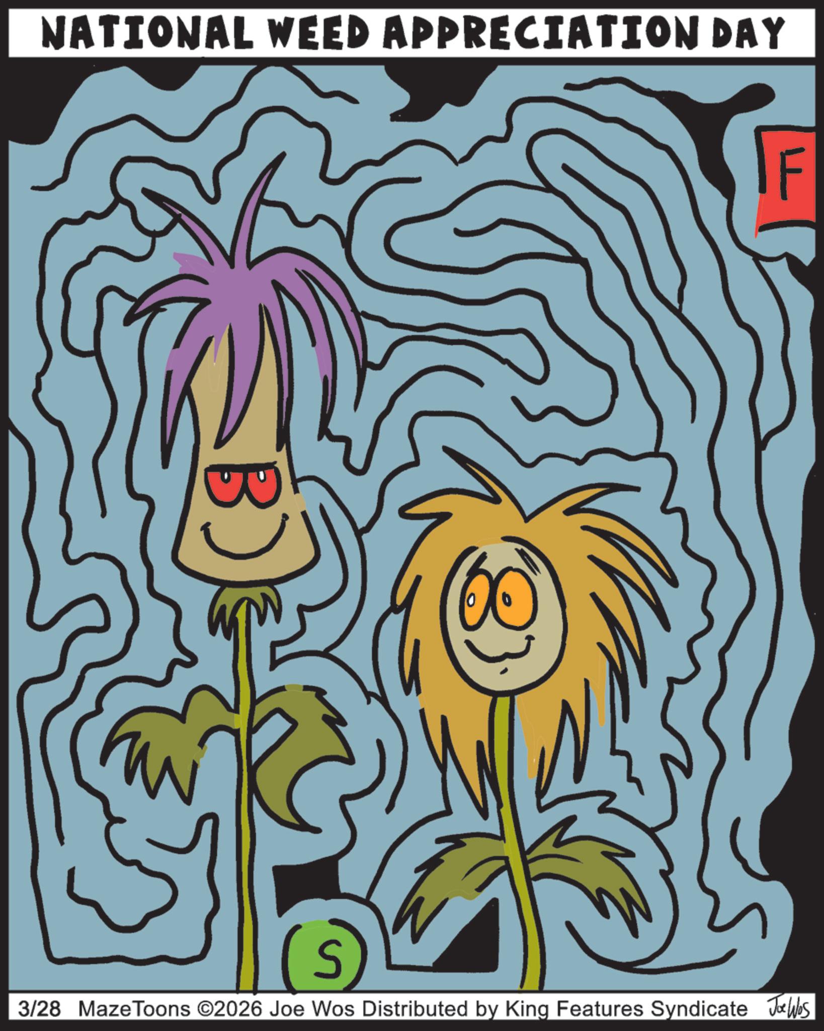 Graphic design OCR: NATIONAL WEED APPRECIATION DAY IF S 3/28 MazeToons ©2026 Joe Wos Distributed by King Features Syndicate Jobs NATIONAL WEED APPRECIATION DAY IF S 3/28 MazeToons © 2026 Joe Wos Distributed by King Features Syndicate Jobs