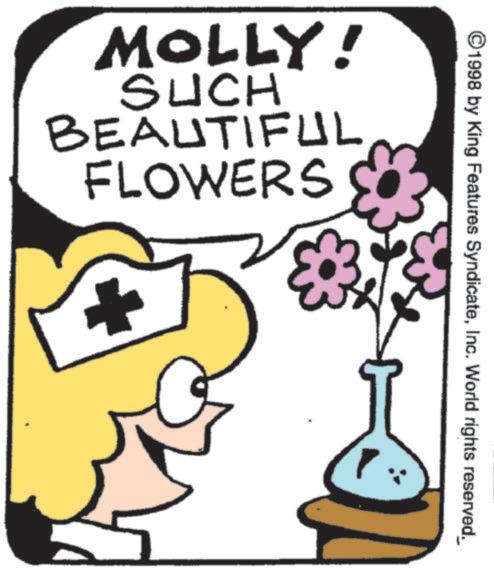 Cut flowers OCR: ©1998 by King Features SyndicateInc. World rights reserved. MOLLY! SUCH BEAUTIFUL FLOWERS © 1998 by King Features SyndicateInc. World rights reserved . MOLLY ! SUCH BEAUTIFUL FLOWERS
