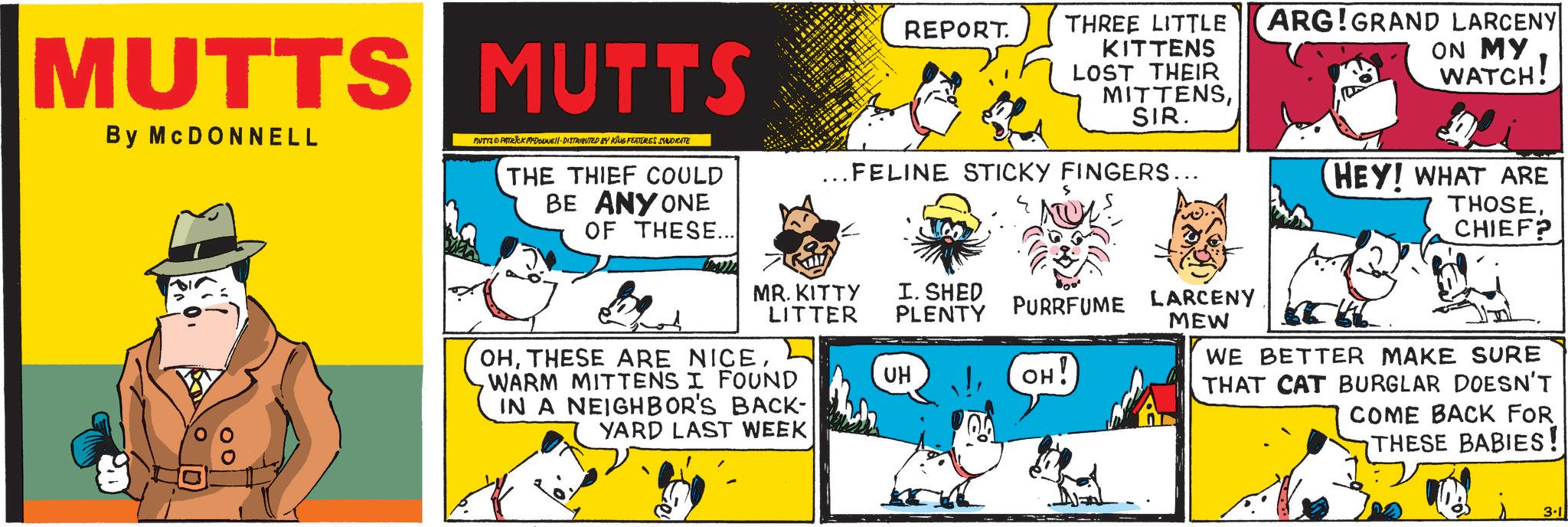 Photo caption OCR: MUTTS MUTTS By MCDONNELL MUTTS & PATRICK MYDOUWE DISTRIBUTED BY KING FEATURES SYNDICATE THE THIEF COULD BE ANYONE OF THESE... REPORT. THREE LITTLE KITTENS LOST THEIR MITTENSSIR. . FELINE STICKY FINGERS... ARG!GRAND LARCENY ON MY WATCH! HEY! WHAT ARE THOSECHIEF? PLENTY PURRFUME LARCENY MR. KITTY LITTER I. SHED UH OH! MEW WE BETTER MAKE SURE THAT CAT BURGLAR DOESN'T COME BACK FOR THESE BABIES! OHWARM MITTENS I FOUND IN A NEIGHBOR'S BACK- YARD LAST WEEK 3.1 MUTTS MUTTS By MCDONNELL MUTTS & PATRICK MYDOUWE DISTRIBUTED BY KING FEATURES SYNDICATE THE THIEF COULD BE ANYONE OF THESE ... REPORT . THREE LITTLE KITTENS LOST THEIR MITTENSSIR . . FELINE STICKY FINGERS ... ARG ! GRAND LARCENY ON MY WATCH ! HEY ! WHAT ARE THOSECHIEF ? PLENTY PURRFUME LARCENY MR . KITTY LITTER I. SHED UH OH ! MEW WE BETTER MAKE SURE THAT CAT BURGLAR DOESN'T COME BACK FOR THESE BABIES ! OHTHESE ARE NICEWARM MITTENS I FOUND IN A NEIGHBOR'S BACK- YARD LAST WEEK 3.1
