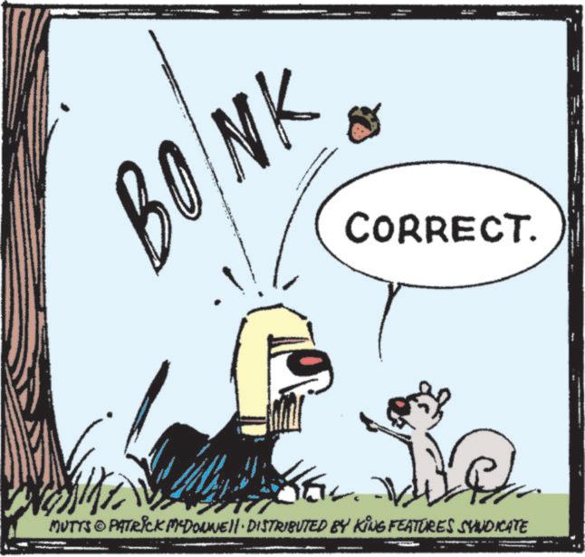 Clip art OCR: BONK CORRECT. MUTTS PATRICK MCDONNELL DISTRIBUTED BY KING FEATURES SYNDICATE BONK CORRECT . MUTTS PATRICK MCDONNELL DISTRIBUTED BY KING FEATURES SYNDICATE