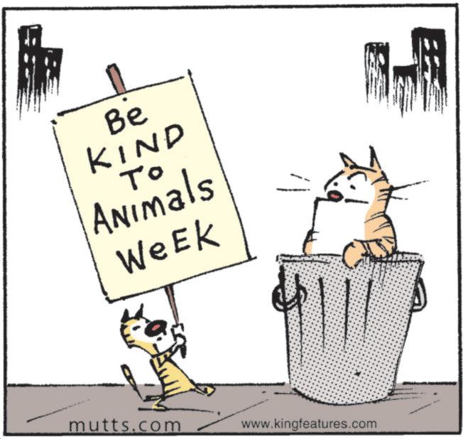 Whiskers OCR: Be KIND To Animals Week mutts.com www.kingfeatures.com Be KIND To Animals Week mutts.com www.kingfeatures.com