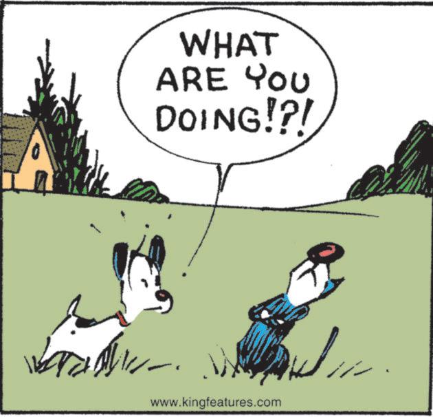 Fictional character OCR: WHAT ARE YOU DOING!?! www.kingfeatures.com WHAT ARE YOU DOING ! ? ! www.kingfeatures.com