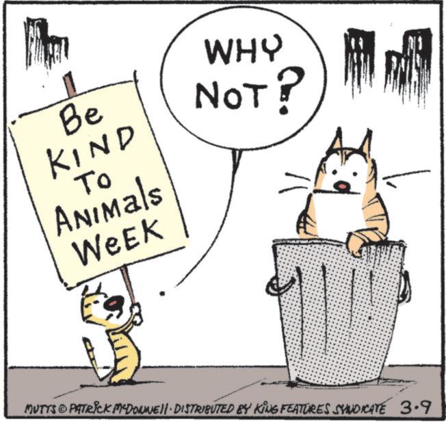 Line art OCR: F Be KIND To Animals WEEK WHY NOT? 4 MUTTS & PATRICK MYDONNELL DISTRIBUTED BY KING FEATURES SYNDICATE 3.9 F Be KIND To Animals WEEK WHY NOT ? 4 MUTTS & PATRICK MYDONNELL DISTRIBUTED BY KING FEATURES SYNDICATE 3.9
