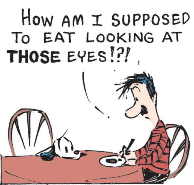 Graphics OCR: How AM I SUPPOSED TO EAT LOOKING AT THOSE EYES!?! How AM I SUPPOSED TO EAT LOOKING AT THOSE EYES ! ? !