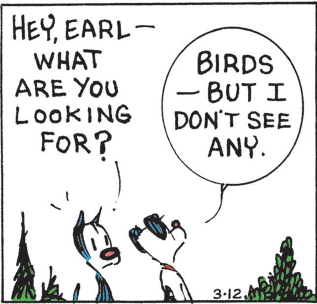 Tail OCR: HEYEARL- WHAT ARE YOU LOOKING FOR? BIRDS - BUT I DON'T SEE ANY. 3.12. HEYEARL- WHAT ARE YOU LOOKING FOR ? BIRDS - BUT I DON'T SEE ANY . 3.12 .