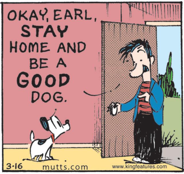 Canidae OCR: OKAYEARL STAY HOME AND BE A GOOD DOG. 3.16 mutts.com www.kingfeatures.com OKAYEARL STAY HOME AND BE A GOOD DOG . 3.16 mutts.com www.kingfeatures.com