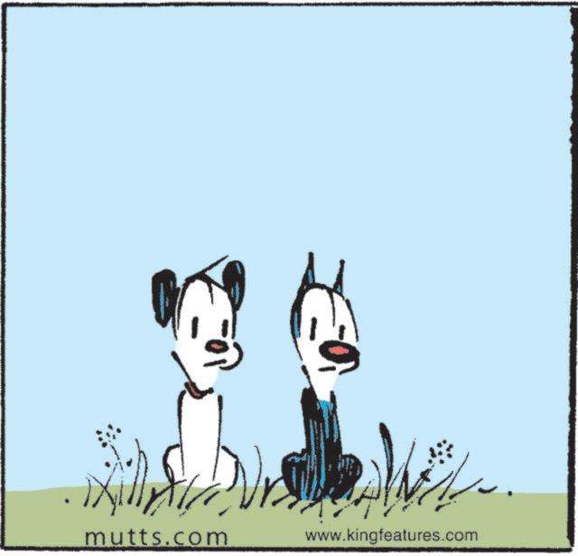 Line art OCR: mutts.com www.kingfeatures.com mutts.com www.kingfeatures.com