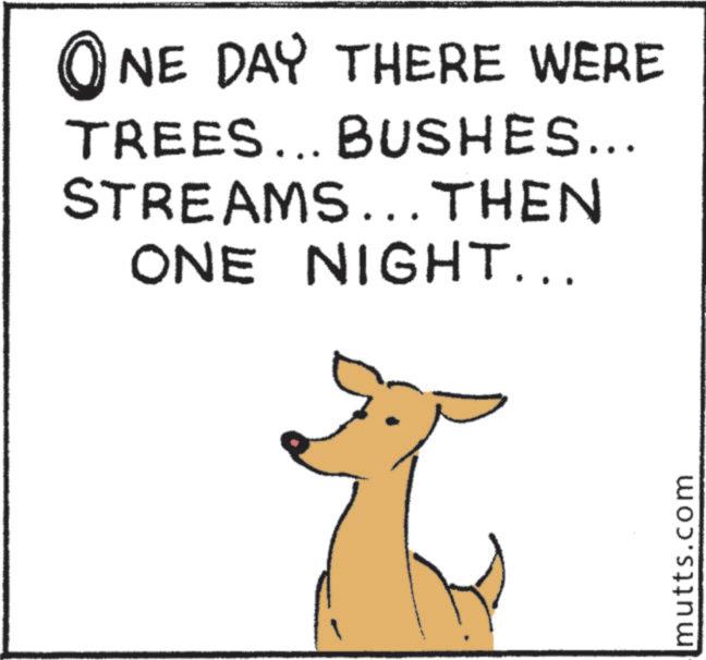 Graphics OCR: ?NEE DAY THERE WERE TREES... BUSHES... STREAMS... THEN ONE NIGHT... mutts.com ?NEE DAY THERE WERE TREES ... BUSHES ... STREAMS ... THEN ONE NIGHT ... mutts.com