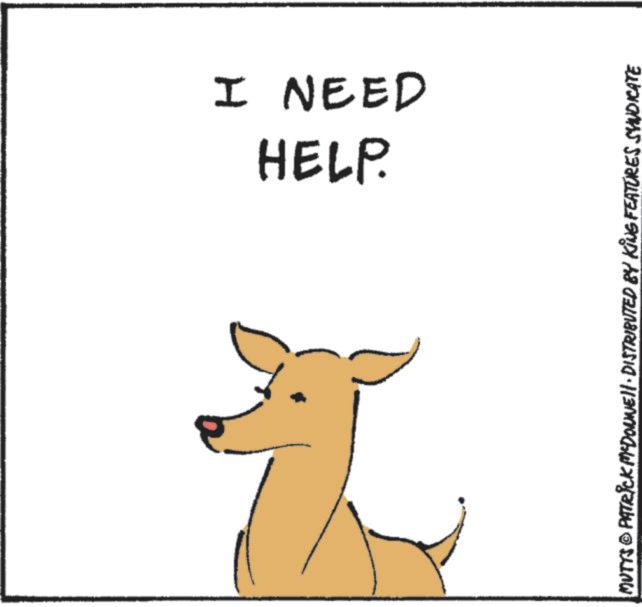 Line art OCR: HELP. I NEED MUTTS © PATRICK MCDONNELL DISTRIBUTED BY KING FEATURES SYNDICATE HELP . I NEED MUTTS © PATRICK MCDONNELL DISTRIBUTED BY KING FEATURES SYNDICATE