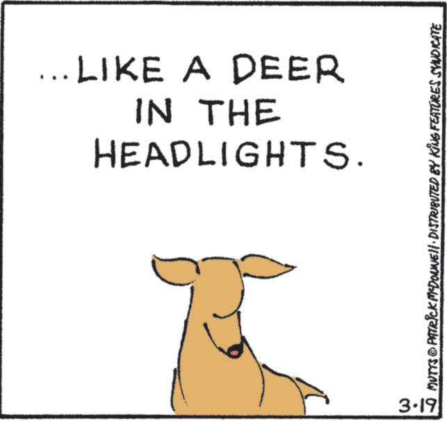 Graphics OCR: HEADLIGHTS. IN THE LIKE A DEER 3.19 MUTTS © PATRICK MYDONNE!!· DISTRIBUTED BY KING FEATURES SYNDICATE HEADLIGHTS . IN THE LIKE A DEER 3.19 MUTTS © PATRICK MYDONNE !! · DISTRIBUTED BY KING FEATURES SYNDICATE