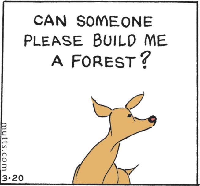 Graphics OCR: CAN SOMEONE PLEASE BUILD ME A FOREST? mutts.com 3.20 CAN SOMEONE PLEASE BUILD ME A FOREST ? mutts.com 3.20