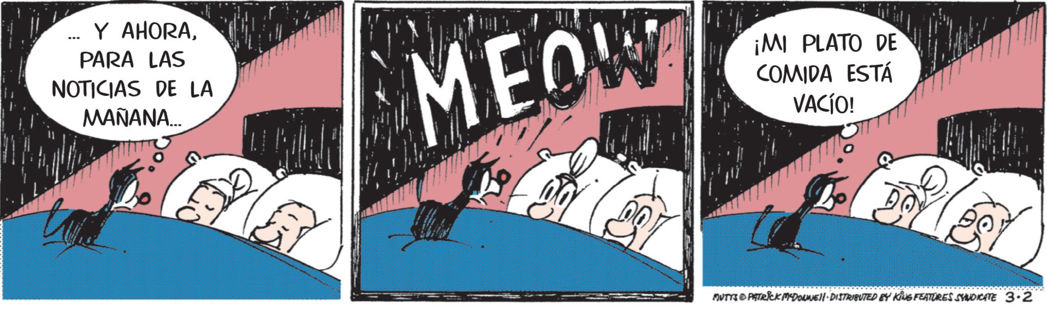 Photo caption OCR: ... Y AHORAPARA LAS NOTICIAS DE LA MAÑANA... ? MEOW ¡MI PLATO DE COMIDA ESTÁ VACÍO! MUTYS PATRICK MADONNELL DISTRIBUTED BY KING FEATURES SYNDICATE 3-2 ... Y AHORAPARA LAS NOTICIAS DE LA MAÑANA ... ? MEOW ¡ MI PLATO DE COMIDA ESTÁ VACÍO ! MUTYS PATRICK MADONNELL DISTRIBUTED BY KING FEATURES SYNDICATE 3-2