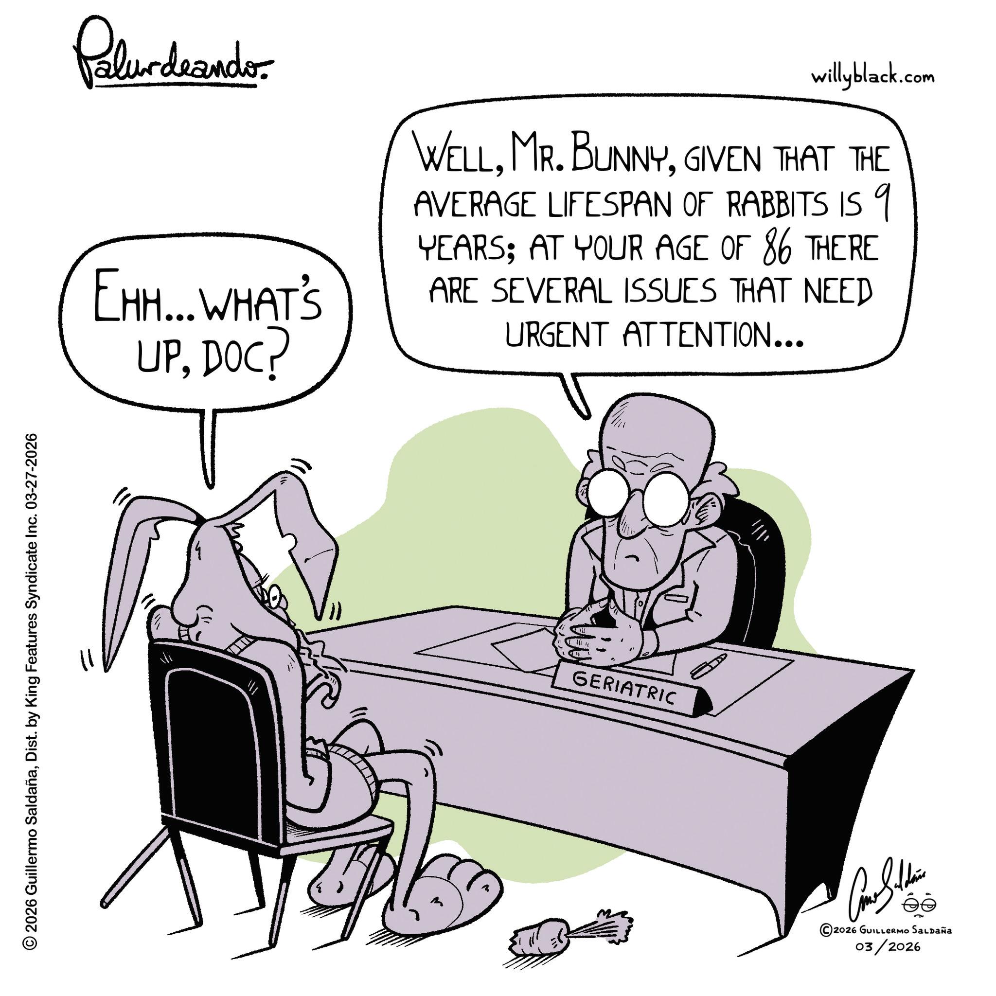 Fictional character OCR: © 2026 Guillermo SaldañaDist. by King Features Syndicate Inc. 03-27-2026 Pilardaander EHH... WHAT'S UPDOC? willyblack.com WELLGIVEN THAT THE AVERAGE LIFESPAN OF RABBITS IS 9 YEARS; AT YOUR AGE OF 86 THERE ARE SEVERAL ISSUES THAT NEED URGENT ATTENTION... GERIATRIC Car Stere éo 2026 GUILLERMO SALDAÑA 03/2026 © 2026 Guillermo SaldañaDist . by King Features Syndicate Inc. 03-27-2026 Pilardaander EHH ... WHAT'S UPDOC ? willyblack.com WELLMR . BUNNYGIVEN THAT THE AVERAGE LIFESPAN OF RABBITS IS 9 YEARS ; AT YOUR AGE OF 86 THERE ARE SEVERAL ISSUES THAT NEED URGENT ATTENTION ... GERIATRIC Car Stere éo 2026 GUILLERMO SALDAÑA 03/2026