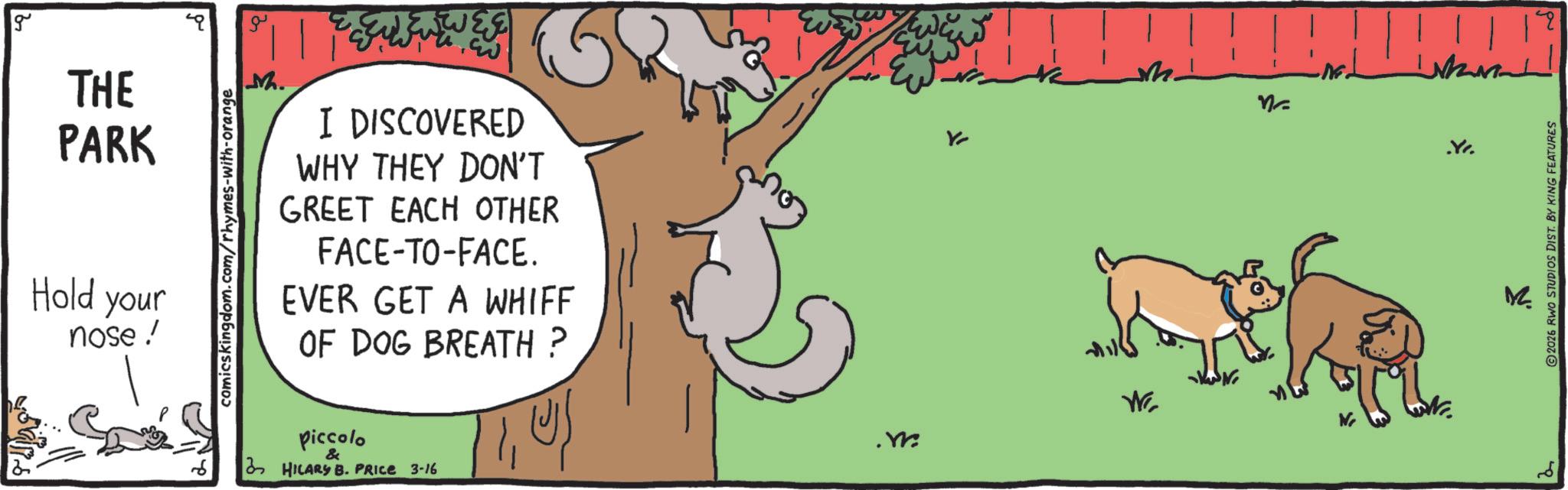 Canidae OCR: g THE PARK Hold your nose! comicskingdom.com/rhymes-with-orange M. I DISCOVERED WHY THEY DON'T GREET EACH OTHER FACE-TO-FACE. EVER GET A WHIFF OF DOG BREATH ? piccolo & HILARY B. PRICE 3-16 W Yv 2026 RWO STUDIOS DIST. BY KING FEATURES g THE PARK Hold your nose ! comicskingdom.com/rhymes-with-orange M. I DISCOVERED WHY THEY DON'T GREET EACH OTHER FACE - TO - FACE . EVER GET A WHIFF OF DOG BREATH ? piccolo & HILARY B. PRICE 3-16 W Yv 2026 RWO STUDIOS DIST . BY KING FEATURES