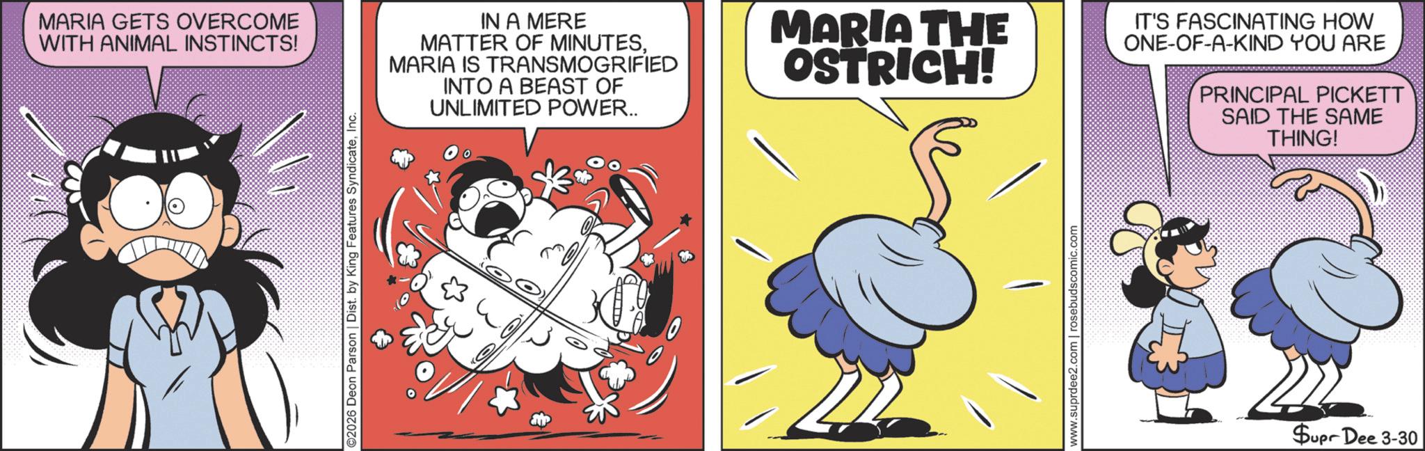 Graphics OCR: MARIA GETS OVERCOME WITH ANIMAL INSTINCTS! ©2026 Deon Parson | Dist. by King Features SyndicateInc. IN A MERE MATTER OF MINUTESMARIA IS TRANSMOGRIFIED INTO A BEAST OF UNLIMITED POWER.. MARIA THE OSTRICH! www.suprdee2.com | rosebudscomic.com IT'S FASCINATING HOW ONE-OF-A-KIND YOU ARE PRINCIPAL PICKETT SAID THE SAME THING! Supr Dee 3-30 MARIA GETS OVERCOME WITH ANIMAL INSTINCTS ! © 2026 Deon Parson | Dist . by King Features SyndicateInc. IN A MERE MATTER OF MINUTESMARIA IS TRANSMOGRIFIED INTO A BEAST OF UNLIMITED POWER .. MARIA THE OSTRICH ! www.suprdee2.com | rosebudscomic.com IT'S FASCINATING HOW ONE - OF - A - KIND YOU ARE PRINCIPAL PICKETT SAID THE SAME THING ! Supr Dee 3-30