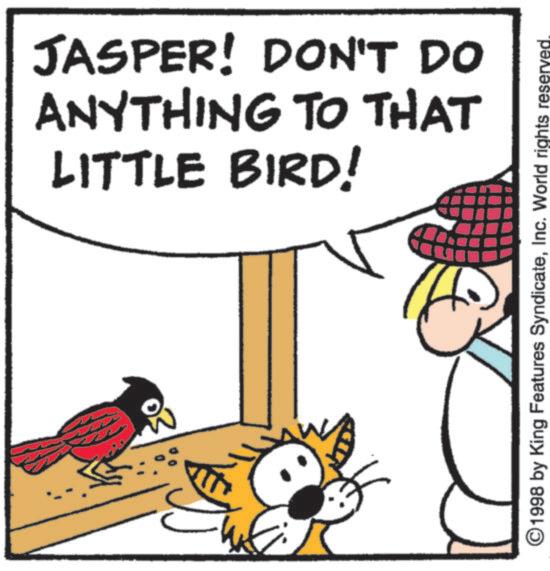 Animation OCR: 6 LITTLE BIRD! ANYTHING TO THAT JASPER! DON'T DO ©1998 by King Features SyndicateInc. World rights reserved. 6 LITTLE BIRD ! ANYTHING TO THAT JASPER ! DON'T DO © 1998 by King Features SyndicateInc. World rights reserved .