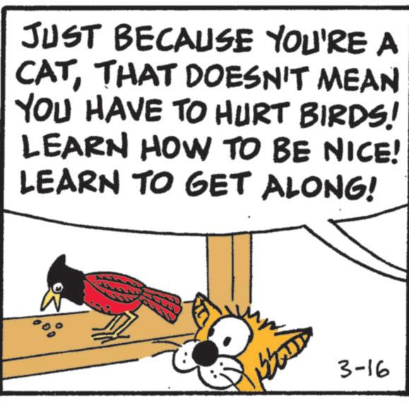 Beak OCR: JUST BECAUSE YOU'RE A CATTHAT DOESN'T MEAN YOU HAVE TO HURT BIRDS! LEARN HOW TO BE NICE! LEARN TO GET ALONG! 3-16 JUST BECAUSE YOU'RE A CATTHAT DOESN'T MEAN YOU HAVE TO HURT BIRDS ! LEARN HOW TO BE NICE ! LEARN TO GET ALONG ! 3-16