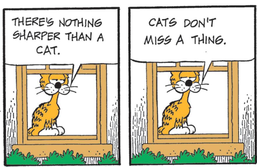Whiskers OCR: THERE'S NOTHING SHARPER THAN A CAT. CATS DON'T MISS A THING. MAHAR I JITHAI THERE'S NOTHING SHARPER THAN A CAT . CATS DON'T MISS A THING . MAHAR I JITHAI