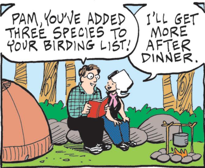 Fiction OCR: PAMYOU'VE ADDED THREE SPECIES TO YOUR BIRDING LIST! I'LL GET MORE AFTER DINNER. PAMYOU'VE ADDED THREE SPECIES TO YOUR BIRDING LIST ! I'LL GET MORE AFTER DINNER .