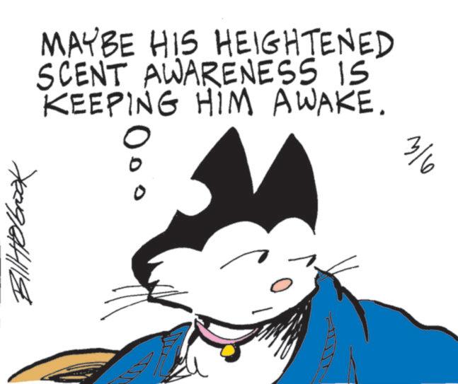 Graphics OCR: MAYBE HIS HEIGHTENED SCENT AWARENESS IS KEEPING HIM AWAKE. 3/6 ????????? ? MAYBE HIS HEIGHTENED SCENT AWARENESS IS KEEPING HIM AWAKE . 3/6 ????????? ?