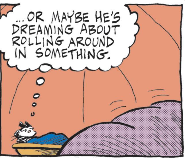 Sleep OCR: .. OR MAYBE HE'S DREAMING ABOUT ROLLING AROUND IN SOMETHING. .. OR MAYBE HE'S DREAMING ABOUT ROLLING AROUND IN SOMETHING .