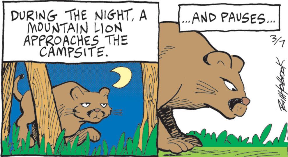 Panthera OCR: DURING THE NIGHTA MOUNTAIN LION APPROACHES THE CAMPSITE. .AND PAUSES... 3/1 BillHobrook W DURING THE NIGHTA MOUNTAIN LION APPROACHES THE CAMPSITE . .AND PAUSES ... 3/1 BillHobrook W