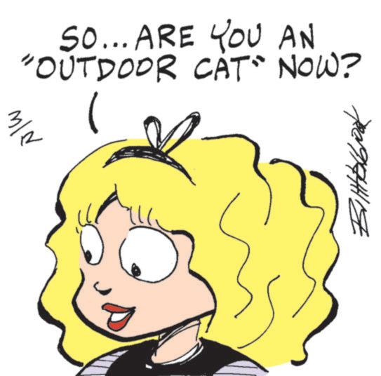 Clip art OCR: So... ARE YOU AN "OUTDOOR CAT NOW? M/N 19/744/19 So ... ARE YOU AN " OUTDOOR CAT NOW ? M / N 19/744/19