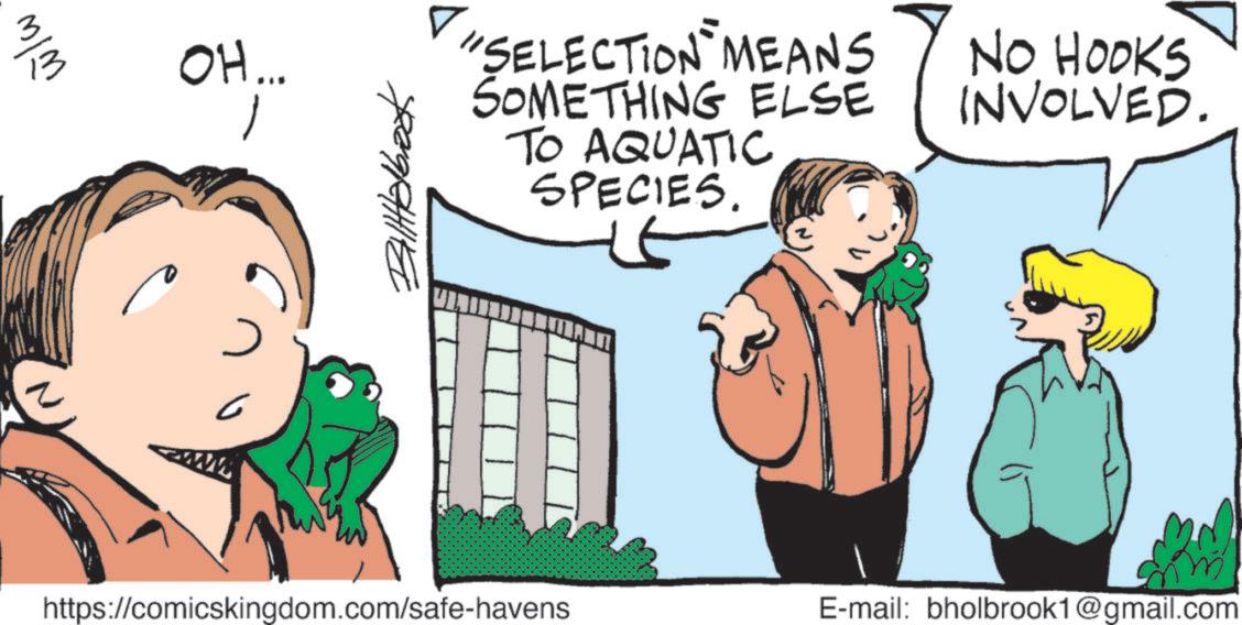 Photo caption OCR: w/w ??? www OH... Billabrook ? "SELECTION MEANS SOMETHING ELSE TO AQUATIC SPECIES. https://comicskingdom.com/safe-havens NO HOOKS INVOLVED. E-mail: bholbrook1@gmail.com w / w ??? www OH ... Billabrook ? " SELECTION MEANS SOMETHING ELSE TO AQUATIC SPECIES . https://comicskingdom.com/safe-havens NO HOOKS INVOLVED . E - mail : bholbrook1@gmail.com