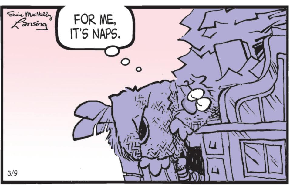 Graphics OCR: Susie MacNelly Lansing FOR MEIT'S NAPS. 3/9 Susie MacNelly Lansing FOR MEIT'S NAPS . 3/9